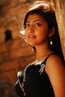 Pranitha Latest Hot Photos